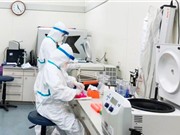 Dịch tễ học hệ gene trong dịch COVID 19: Việt Nam cung cấp “vật liệu” cho thế giới