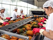 Các FTA thế hệ mới: Cơ hội và thách thức với hệ thống sở hữu trí tuệ Việt Nam 