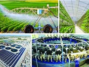 Sáng chế trong xu thế công nghệ xanh: Những giải pháp từ nhiều hướng tiếp cận