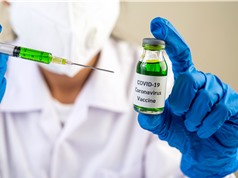 Cuộc đua vaccine Covid-19