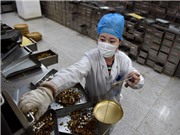 Trung Quốc quảng bá các phương thuốc cổ truyền trong điều trị COVID-19 dù chưa chứng minh được hiệu quả