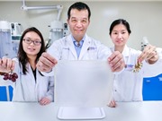 Trích xuất chitin từ vỏ giáp xác nhờ trái cây thải loại