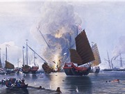 Dấu ấn chiến tranh lưu giữ trong san hô