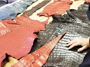 Hơn một triệu sản phẩm động vật hoang dã bị thu giữ tại các sân bay trong năm 2019
