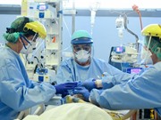 Giải phẫu sát thủ virus corona 