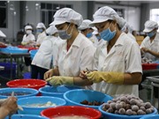 Hội nghị trực tuyến giám đốc Sở KH&CN toàn quốc 2020: Bàn giải pháp hỗ trợ doanh nghiệp 