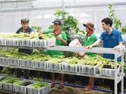 Hỗ trợ doanh nghiệp nhỏ và vừa: Mối quan tâm thường trực của các Sở KH&CN