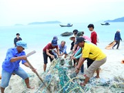 Thanh niên và nhà khoa học trẻ đổi mới sáng tạo vì đại dương 