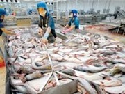 Tăng cường phân phối, tiêu thụ nội địa mặt hàng thủy sản