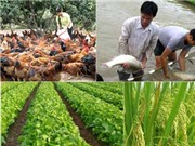 Ứng dụng KH&CN hiện đại để chọn tạo, phát triển và sản xuất giống cây trồng vật nuôi 