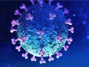 Nguồn gốc SARS-CoV-2: Bí ẩn lớn nhất