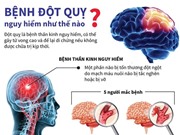 7 bệnh viện Việt Nam nhận giải thưởng của Tổ chức Đột quỵ thế giới 