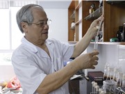 TS. Lê Văn Tri: Mô hình sản xuất tinh dầu sả từ những sáng chế