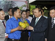Đề án 844 - Cần kết nối sâu và rộng hơn