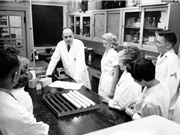 Maurice Hilleman: Người ngăn chặn một đại dịch