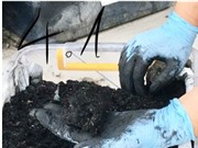 Sản xuất phân hữu cơ từ phân ruồi lính đen