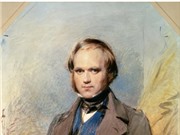 Hành trình vòng quanh thế giới của Darwin