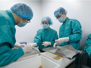 Vắcxin COVID-19 do Việt Nam sản xuất vượt tiến độ dự kiến