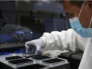 Ngăn chặn  bùng phát trở lại của coronavirus?
