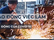 Gần 31 triệu người lao động bị ảnh hưởng bởi dịch Covid-19