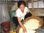 Sáng chế từ gợi ý của người làm trà ướp hương