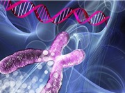Trung Quốc phát triển hệ thống chỉnh sửa gene mới