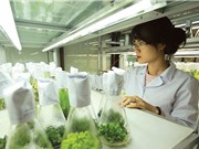 Tìm đường thương mại hóa kết quả nghiên cứu 