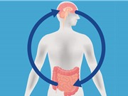 Niêm mạc ruột có thể giúp chữa trị bệnh về não như thế nào?