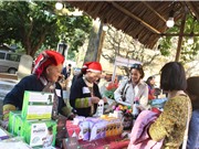 Chương trình Tây Bắc: Liên kết mở và đa ngành 