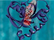 Tìm ra công thức sản xuất protein nhân tạo