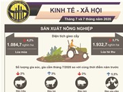 [Infographic] Dịch bệnh ảnh hưởng đến mọi mặt kinh tế - xã hội 7 tháng đầu năm 