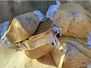 Khẩu trang làm từ cây chuối sợi giúp giảm rác thải nhựa trong thời đại dịch 