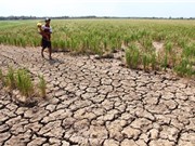 Mực nước ở hạ lưu sông Mekong thấp kỷ lục