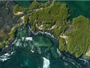 Phát hiện 30 loài động vật biển sâu mới ở quần đảo Galapagos