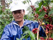 Đầu tư nghiên cứu cho vùng dân tộc thiểu số và miền núi: Giải quyết những bài toán thiết thực