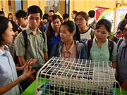 Giới trẻ háo hức khởi nghiệp 