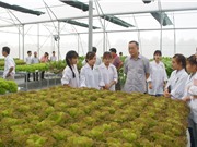 UPM: Công cụ mới để các trường đại học quản trị chiến lược
