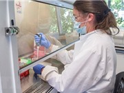 AstraZeneca nối lại thử nghiệm vắcxin ngừa COVID-19