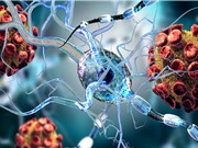 Virus SARS-CoV-2 có thể tấn công các tế bào não