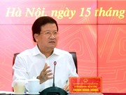 Cần một chiến lược bài bản cho ngành chăn nuôi