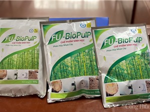 Chế phẩm sinh học phân hủy nhựa cây
