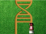 Hack gene động thực vật để chống biến đổi khí hậu