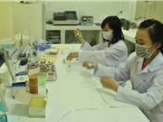 Hội nghị KH&CN hạt nhân trẻ: Nhiều báo cáo xuất phát từ các đề tài nghiên cứu cấp nhà nước