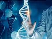 Dự án 1000 bộ gene: Khai thác nguồn dữ liệu gene của người Việt