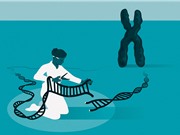 Hành trình nghiên cứu ‘Chiếc kéo di truyền’