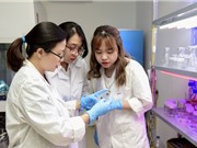 Ứng dụng CRISPR/Cas chọn tạo giống lúa chống chịu các điều kiện bất lợi