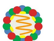 Sản xuất vaccine từ hạt giả virus gây bệnh lở mồm long móng