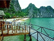 Bất chấp khủng hoảng của ngành du lịch, Vntrip nhận được 7 triệu USD trong vòng gọi vốn series B