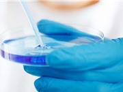 Dò theo virus SARS-CoV-2 với trình tự hệ gene