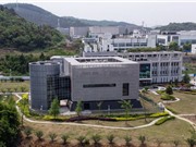 Cuộc chiến chống Covid 19: Có thể tin khoa học Trung Quốc?